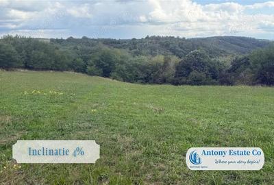 Teren de 5300 mp, în Uileacu de Criș - 1