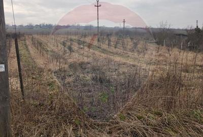 Teren Construcții intravilan de 2341 mp, în Uileacu de Munte - 5