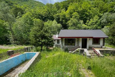 Casuta de vacanta in mijlocul naturii cu piscina - 13
