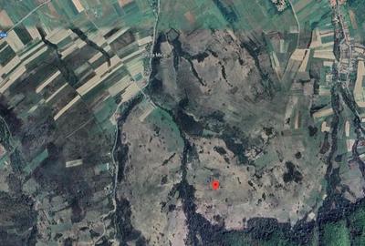 Teren de 3700 mp, în Dalboșeț - 5