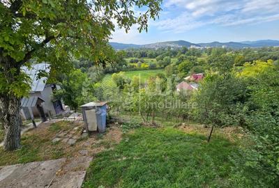 Teren intravilan 2305mp | Front 26m | Grigorescu | Zona strazii Donath - 2