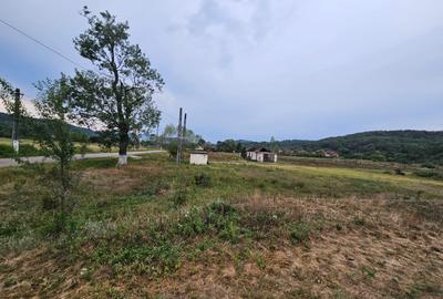 Teren Construcții intravilan de 507 mp, în Bălata - 4