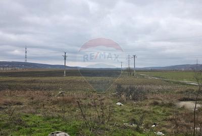 Teren agricol extravilan de 41025 mp, în Periferie - 7