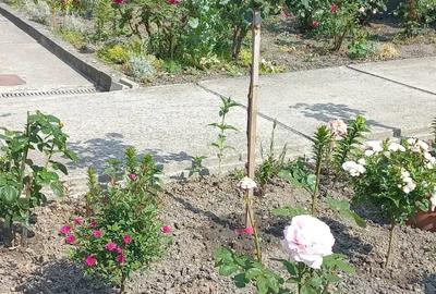 Vand casa duplex Vand casa duplex - 10