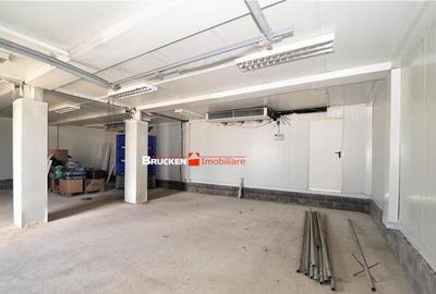 Hala industriala noua de in SANTANDREI - 13