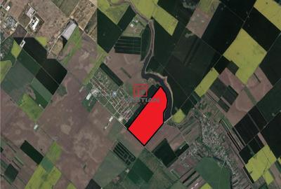 Teren de 385000 mp, în Central