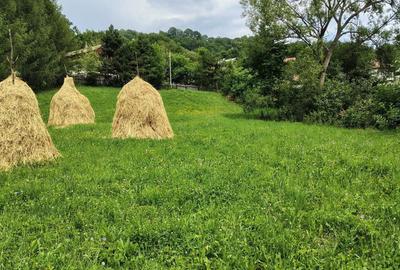 Spațiu comercial, în Galmeia - 4