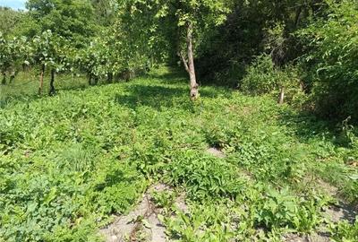 Casă cu 4 camere cu Teren 160 Mp în Anina - 9