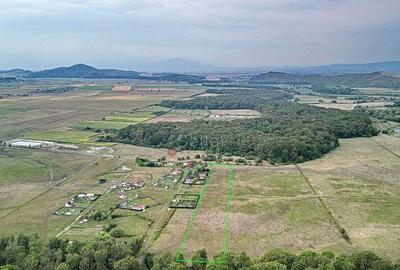 Teren de 22700 mp, în Hărman - 1