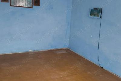 Casă cu 4 camere cu Teren 2518 Mp în Tomnatic - 3