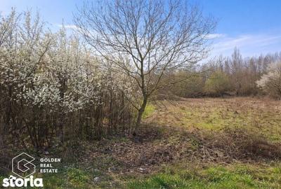Teren de 4300 mp, în Șiștarovăț - 1