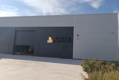 Pantelimon,Biruintei, Bucuresti - 7