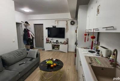 De vanzare studio - Tunari - 1