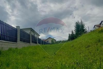 Teren intravilan de vanzare - 4