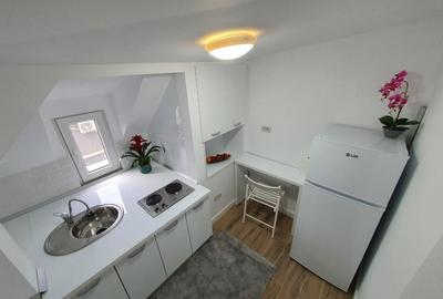 Garsonieră semidecomandată, mobilată în Parcul Carol - 11