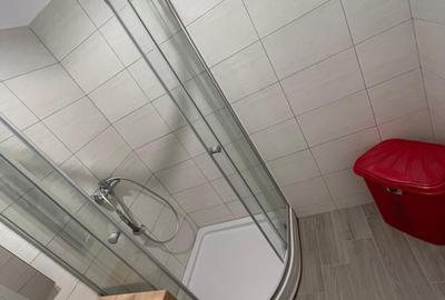 Apartament cu 2 camere, mobilat în Copou - 14