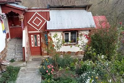 Casă cu 5 camere în Colți - 4