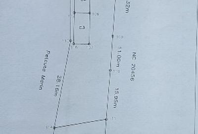 Casă individuală cu 5 camere cu Teren 1292 Mp în Peretu - 3