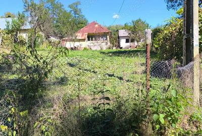 Gospodarie in Jud. Valcea, com. Pe?ceana, sat Ursoaia, 2 case ?i anexe - 4