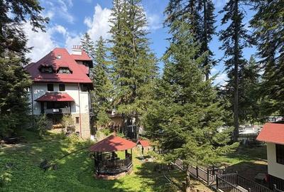 Apartament cu 4 camere în Castelul Peleș - 19