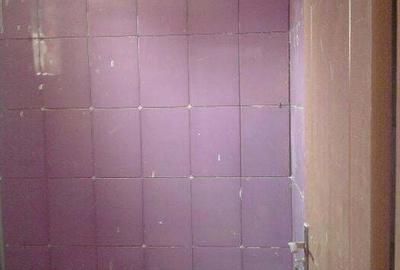 Casă cu 1 camere cu Teren 180 Mp în Dascălu - 8