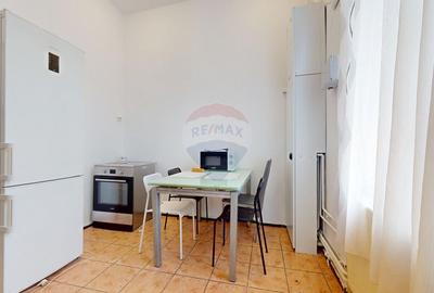Apartament 3 camere de inchiriat -Centrul Istoric- langa liceul Saguna - 10