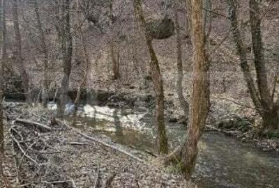 Casa in inima naturii, 140 mp la doar 15 minute de Hunedoara - 16