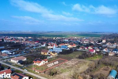 Teren de 1200 mp, în Bucovăț - 9