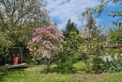 Casă cu 3 camere cu Teren 900 Mp în Central