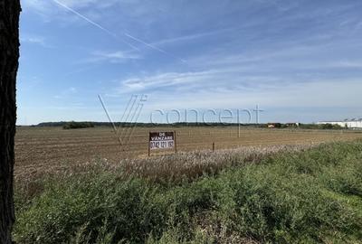 0% comision Teren intravilan - Ciolpani - Izvorani | 1.300 mp - 9