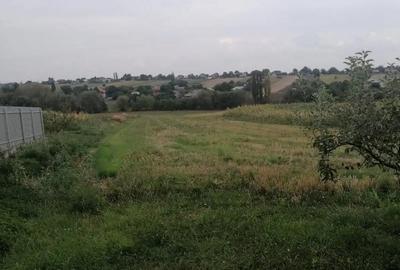 Casă cu 4 camere în Dersca - 4