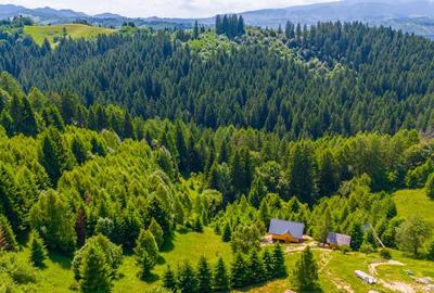 Teren Intravilan in Bran, Brasov (Oaza Ta de liniste la Munte) - 7