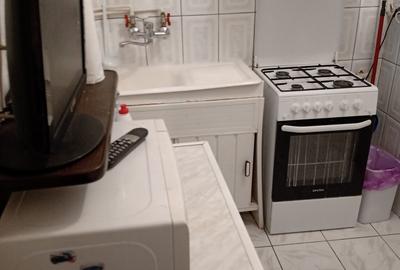 Panduri Apartament 2 camere in Vila de inchiriat - 4