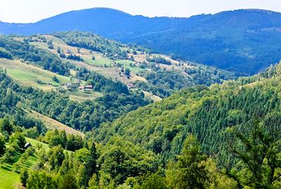 CASA TRADITIONALA, ANEXE si 46.980 mp teren partial INTRAVILAN BULZ - BIHOR - 30