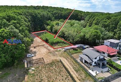 AZURA Imobiliare - Vanzare teren Hintesti, langa padure, 300m din DN - 2