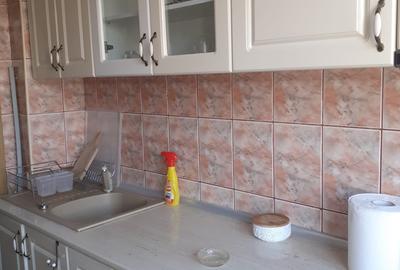 Apartament cu 3 camere semidecomandat, mobilat în Iancului - 23