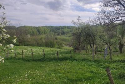 Casă cu Teren 1450 Mp în Izvoru (Valea Lungă) - 1