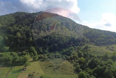 Teren Construcții de 16500 mp, în Măgureni - 10