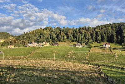 Teren intravilan de vânzare Fundata - 4