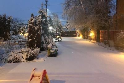 VANZARE CASA VILA - 34