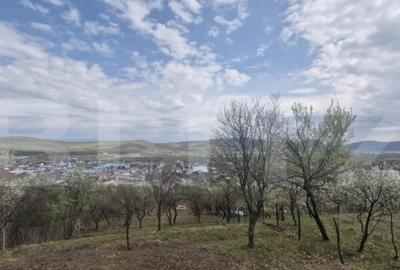 Teren de 2500 mp, în Viișoara - 3