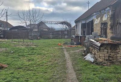 Casă cu 2 camere cu Teren 4000 Mp în Tăut - 9