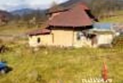 Casă cu 6 camere cu Teren 2700 Mp în Bradu - 10