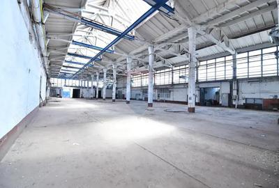 Teren industrial 35.000 mp cu hale de productie Craiova - 1
