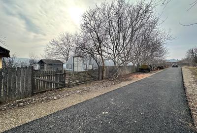 Spațiu industrial, în Dumești - 7