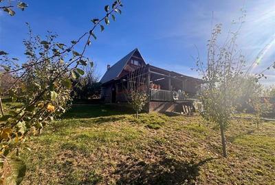 Casă individuală cu 3 camere cu Teren 4000 Mp în Bârnova - 2