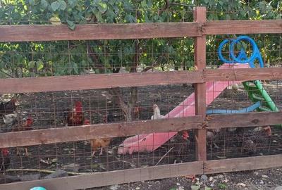 Casă cu 5 camere în Central - 13