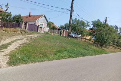 Casa de vanzare in Uileacul de munte cu doua cladiri in curte - 8