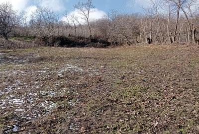 Casă cu 2 camere în Central - 2