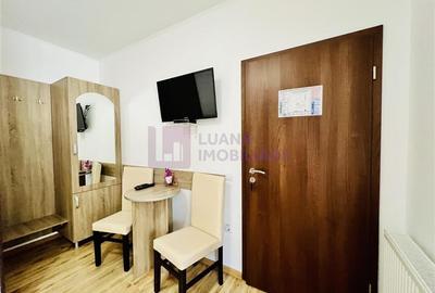 Afacere la cheie | Vila de 3 stele | Paltinis | amenajata complet - 18